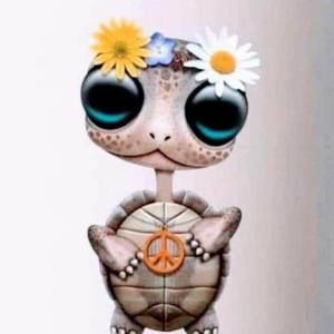 Meet your Posher, Darlene